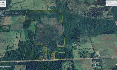 Chacra en Santo Pipo,  44 ha forestación, yerba y monte