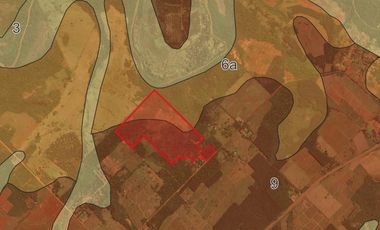 Chacra en Santo Pipo,  44 ha forestación, yerba y monte