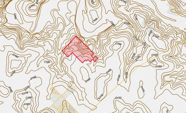 Chacra en Santo Pipo,  44 ha forestación, yerba y monte