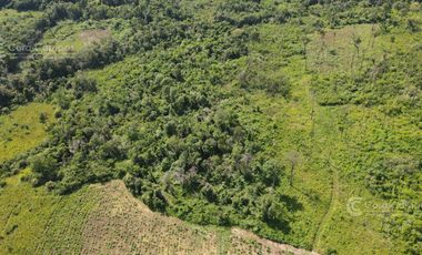 Chacra en Santo Pipo,  44 ha forestación, yerba y monte