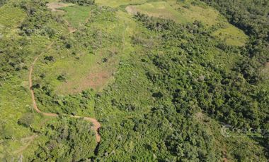 Chacra en Santo Pipo,  44 ha forestación, yerba y monte