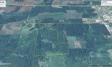 Chacra en Santo Pipo,  44 ha forestación, yerba y monte