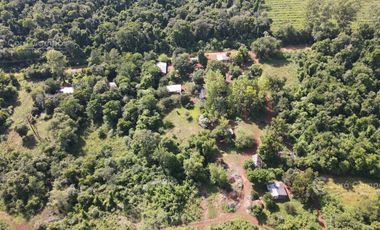 Chacra en Santo Pipo,  44 ha forestación, yerba y monte
