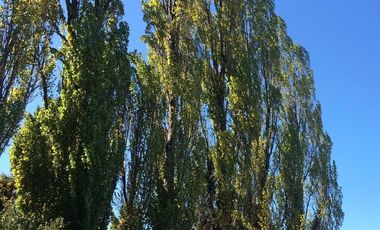 Mejor Precio en zona alta plusvalía Castro-Nercon