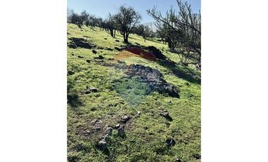 Terreno Agrícola en Chicureo: Inversión Perfecta