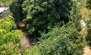Sitio en Venta en Autopista del Itata km 14
