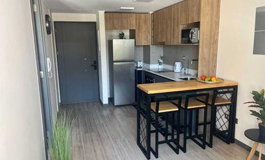 Departamento en venta en SANTIAGO