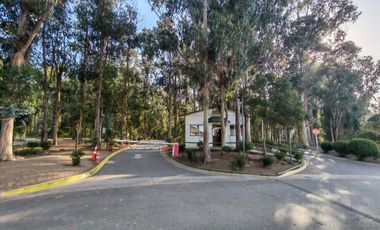 VENTA DE DEPARTAMENTO ZONA EXCLUSIVA DE HORCON