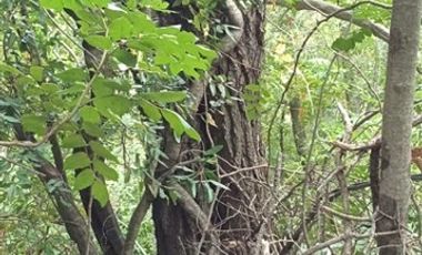 Parcela en Venta en San Fabián de Alico