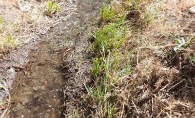 Sitio en Venta en LA MEJOR OPCION DE COMPRA SITIO DE TUS SUEÑOS EN LA COMUNA MOSTAZAL