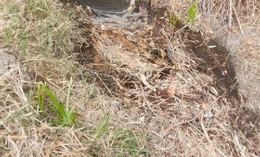 Sitio en Venta en LA MEJOR OPCION DE COMPRA SITIO DE TUS SUEÑOS EN LA COMUNA MOSTAZAL