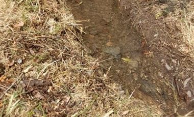 Sitio en Venta en LA MEJOR OPCION DE COMPRA SITIO DE TUS SUEÑOS EN LA COMUNA MOSTAZAL