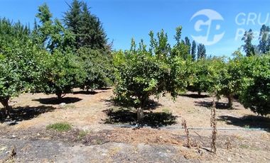 Parcela en Venta en AV. ROSARIO/SANTELICES