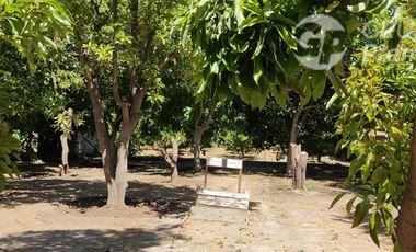 Parcela en Venta en AV. ROSARIO/SANTELICES