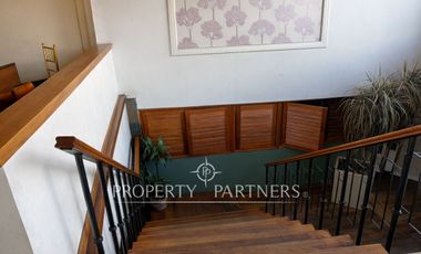 Gran local Comercial con renta activa