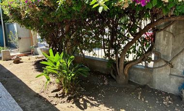 Casa en Arriendo en Av. Carlo Condell / Diego Portales