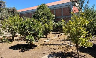 Casa en Arriendo en Av. Carlo Condell / Diego Portales