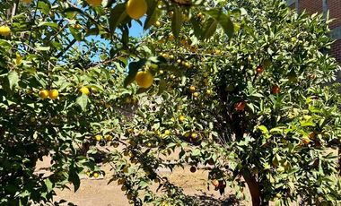 Casa en Arriendo en Av. Carlo Condell / Diego Portales