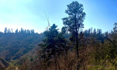 Sitio en Venta en Fundo Santo Domingo