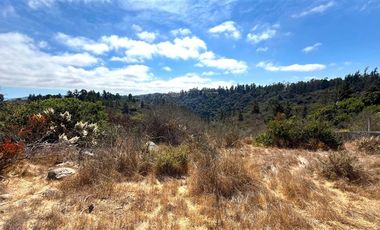 Sitio en Venta en Fundo Santo Domingo