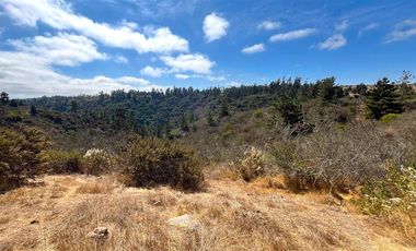 Sitio en Venta en Fundo Santo Domingo