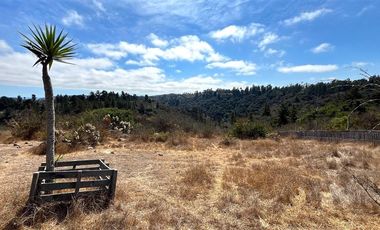 Sitio en Venta en Fundo Santo Domingo