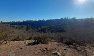 Sitio en Venta en Fundo Santo Domingo