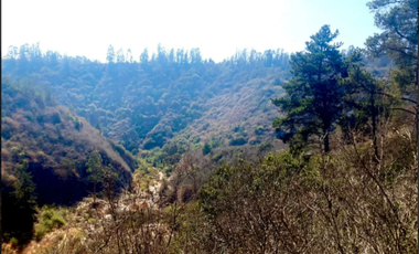 Sitio en Venta en Fundo Santo Domingo