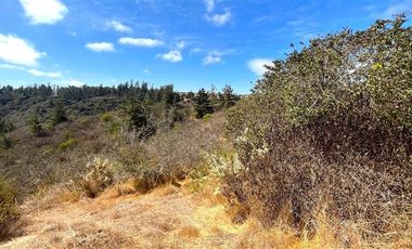 Sitio en Venta en Fundo Santo Domingo