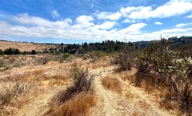 Sitio en Venta en Fundo Santo Domingo