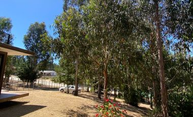 CAMINO ANTIGUO ALGARROBO KM 3