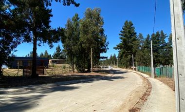 CAMINO ANTIGUO ALGARROBO KM 3