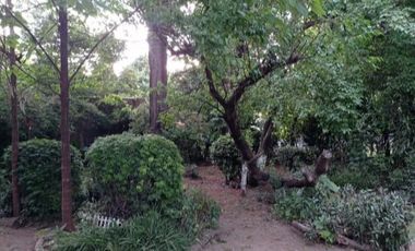 Quinta en  Grand Bourg- venta