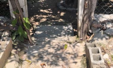 Dos Terrenos Fusionados en Una Sola Propiedad, en Venta