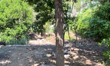 Dos Terrenos Fusionados en Una Sola Propiedad, en Venta