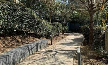 Departamento Garden Renta Citta San Jerónimo Torres de Potrero Álvaro Obregón