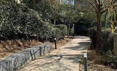 Departamento Garden Renta Citta San Jerónimo Torres de Potrero Álvaro Obregón