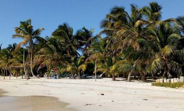 TERRENO EN VENTA EN EXCELENTE UBICACIÓN DE MAHAHUAL, COSTA MAYA.