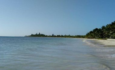 TERRENO EN VENTA EN EXCELENTE UBICACIÓN DE MAHAHUAL, COSTA MAYA.