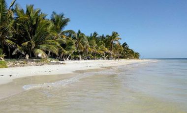 TERRENO EN VENTA EN EXCELENTE UBICACIÓN DE MAHAHUAL, COSTA MAYA.