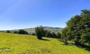 Parcela en venta  en COYHAIQUE