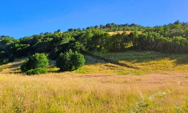 Parcela en venta  en COYHAIQUE