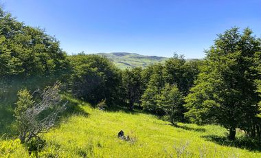 Parcela en venta  en COYHAIQUE