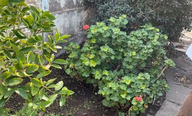 Casa en Arriendo en CASA AMOBLADO EN VITACURA TODO INCLUIDO 2D+1B+1E