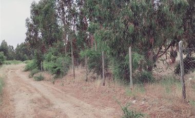 Parcela en Venta en FDO CARRIZALILLO