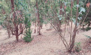 Parcela en Venta en FDO CARRIZALILLO