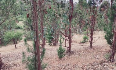 Parcela en Venta en FDO CARRIZALILLO