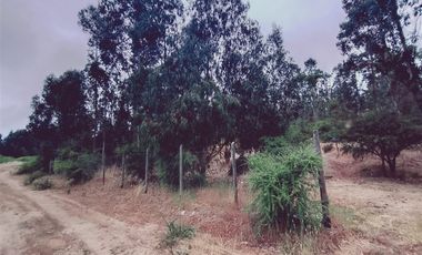 Parcela en Venta en FDO CARRIZALILLO