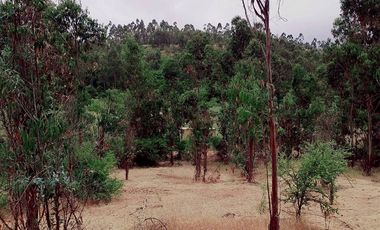 Terreno Construccion  en Venta en FDO CARRIZALILLO