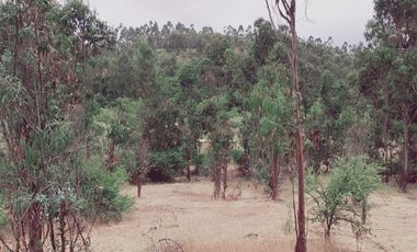 Terreno Construccion  en Venta en FDO CARRIZALILLO